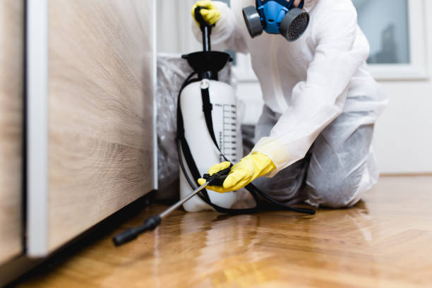 Best Pest Control for Restaurants  in Winchester, VA