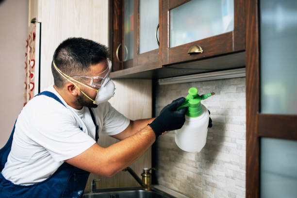 Best Insect Control  in Winchester, VA