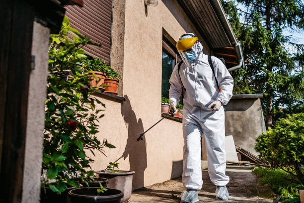 Best Affordable Pest Control Services  in Winchester, VA