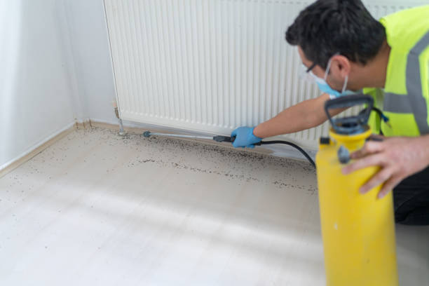 Best Pest Removal Services  in Winchester, VA